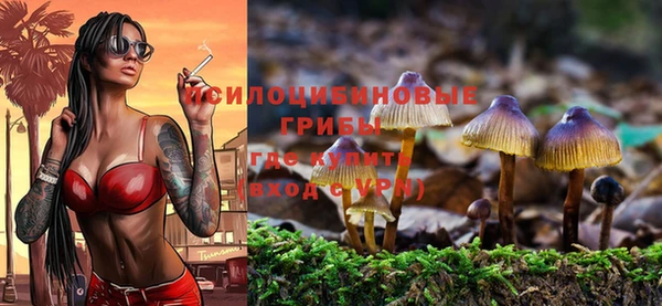 бошки Нефтекумск