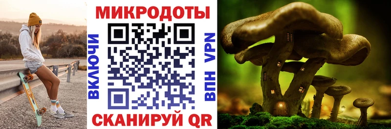 Галлюциногенные грибы Cubensis Энгельс