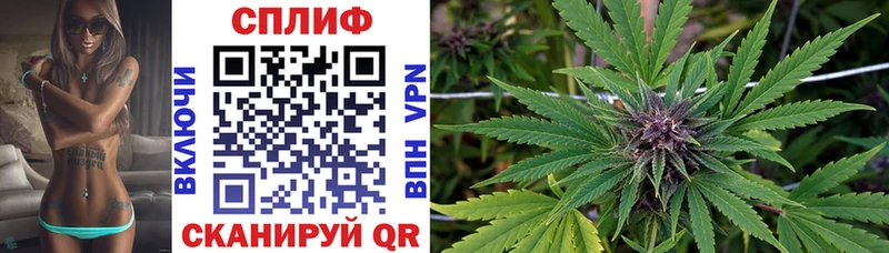 сколько стоит дарк нет формула Шишки марихуана OG Kush Энгельс
